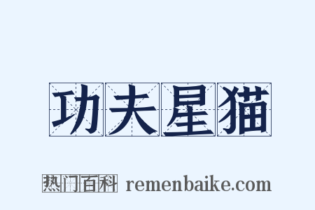 功夫星猫是什么意思的图片